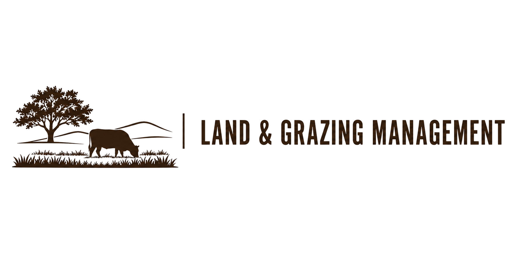 land no back