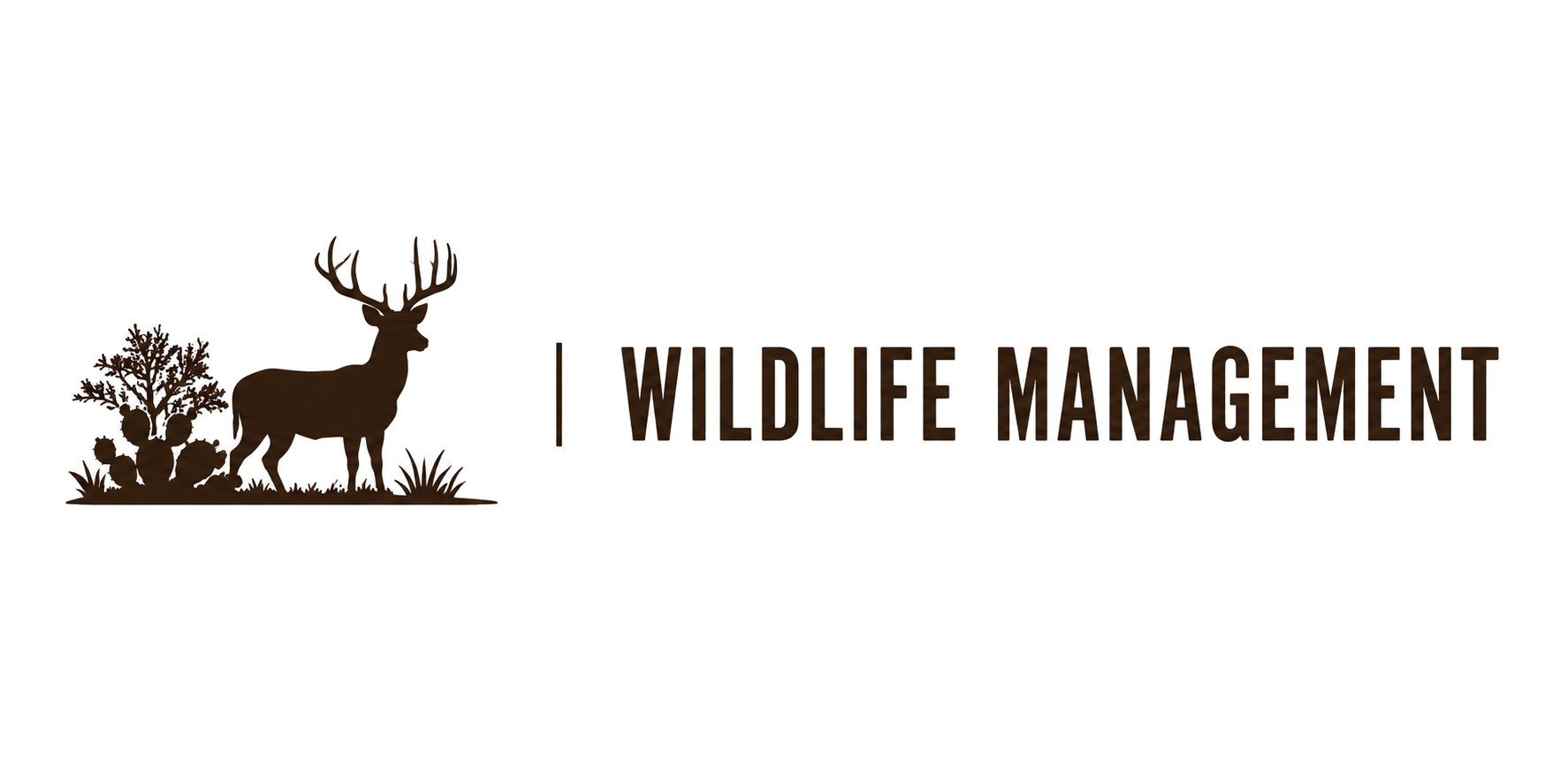 wildlife no back
